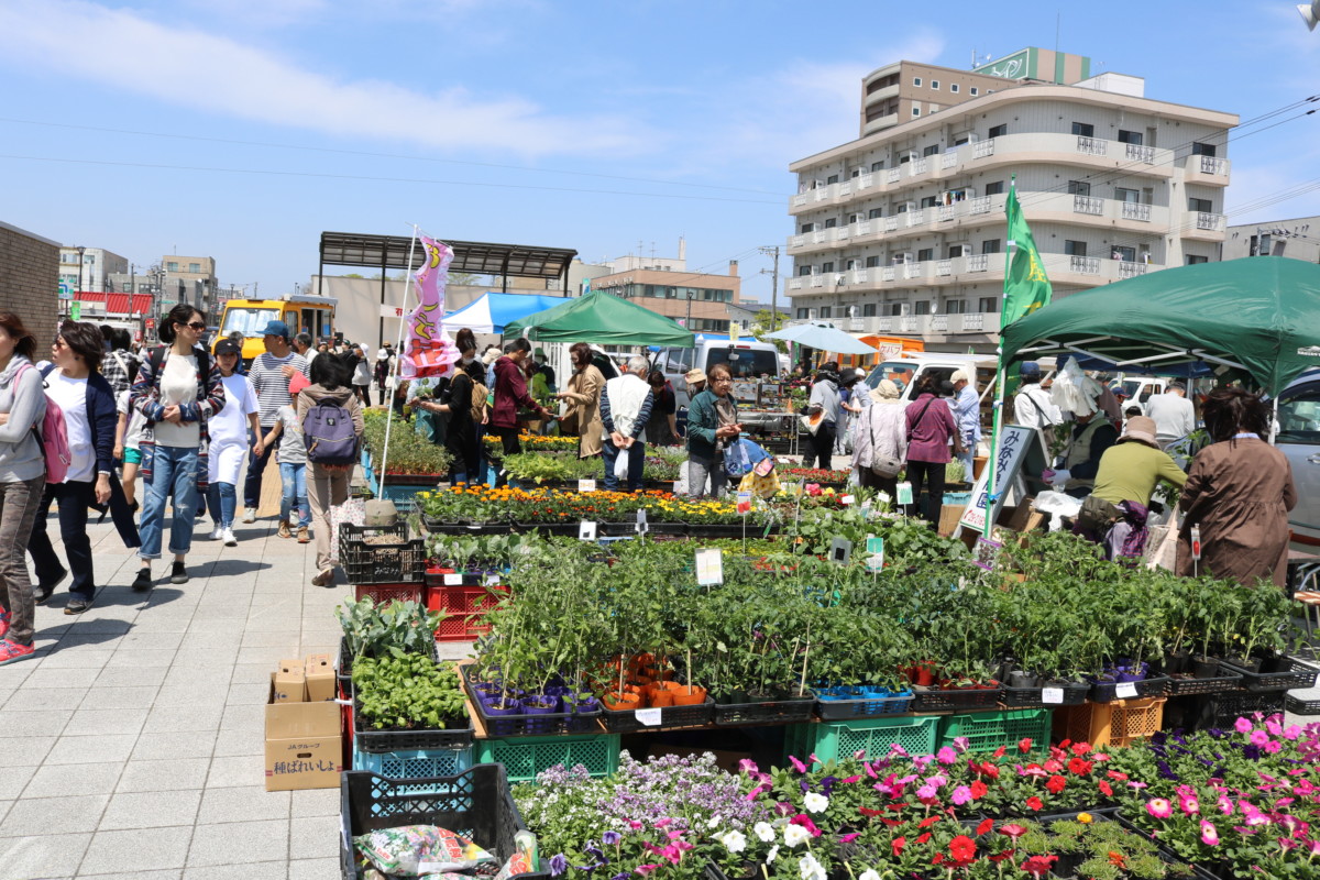 都市緑化振興事業