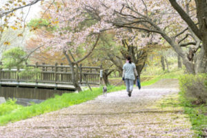 花と緑の写真コンテスト