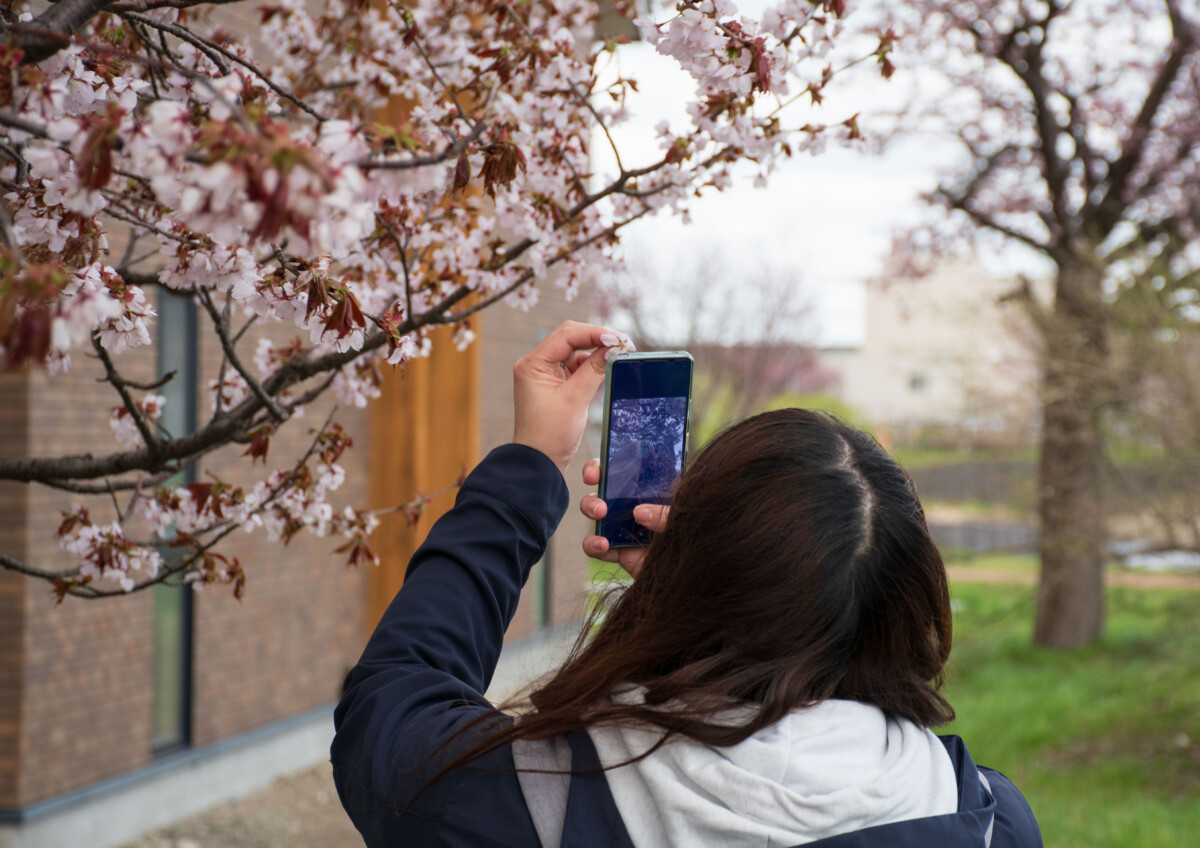 第20回花と緑の写真コンテスト受賞作品(令和7年度)
