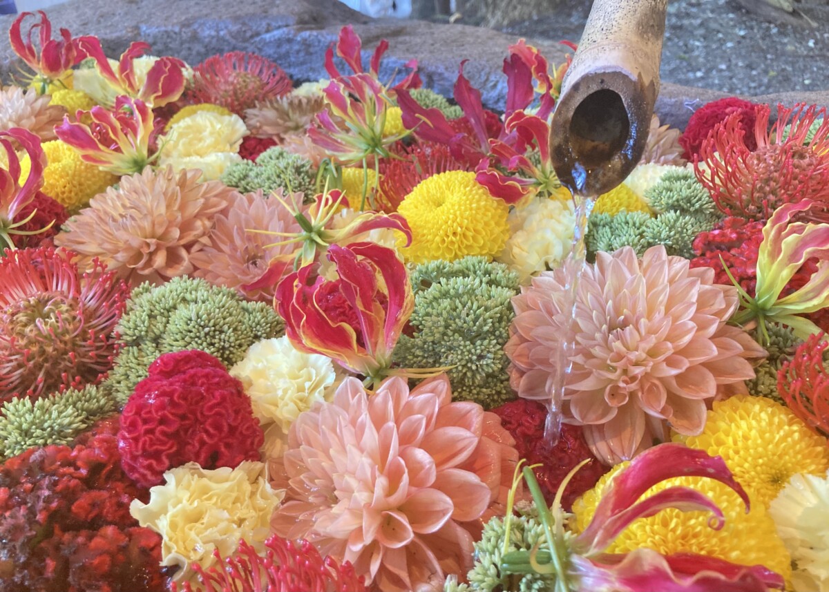 第20回花と緑の写真コンテスト受賞作品(令和7年度)