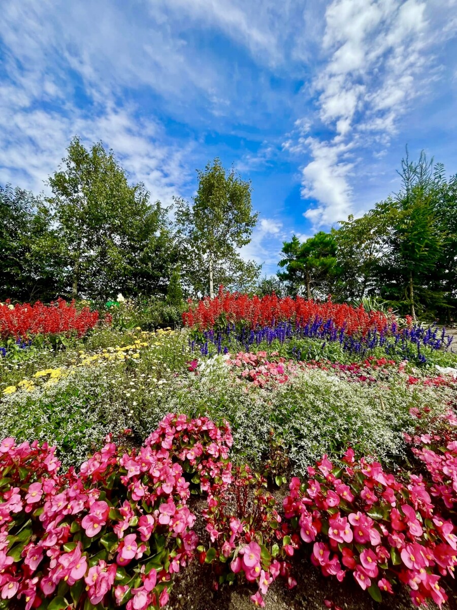 第20回花と緑の写真コンテスト受賞作品(令和7年度)