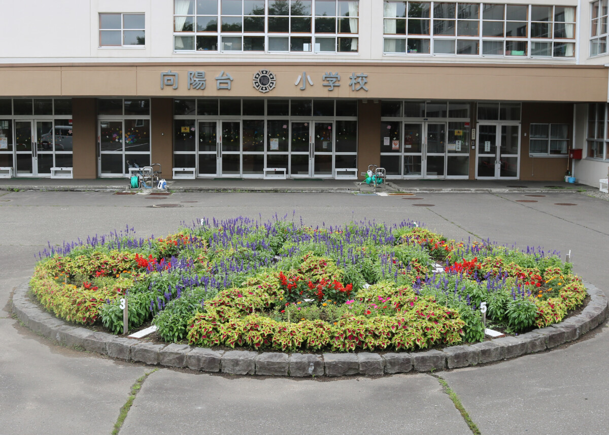 第39回花いっぱいコンクール受賞花壇(令和8年度)